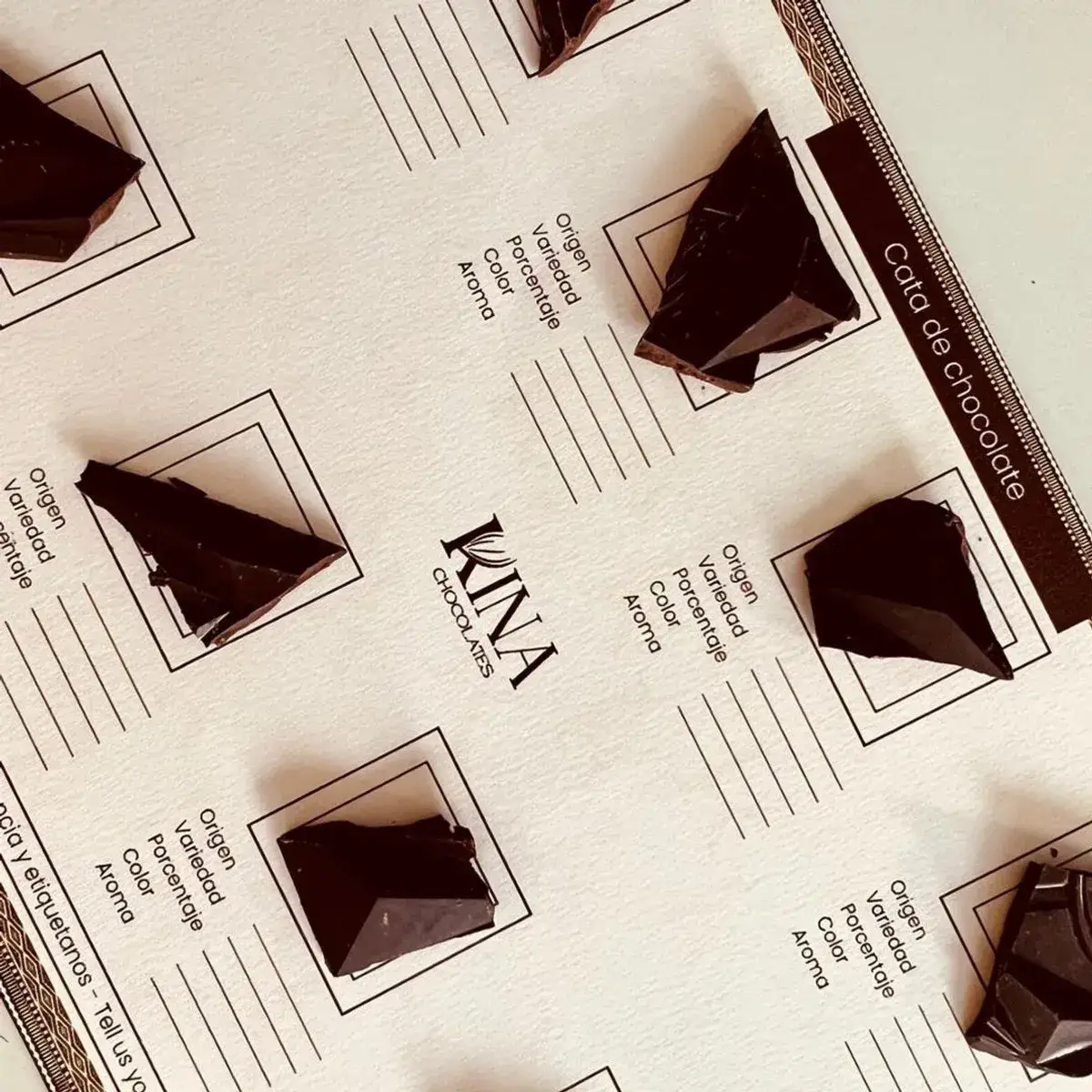 Taller de cata de chocolate