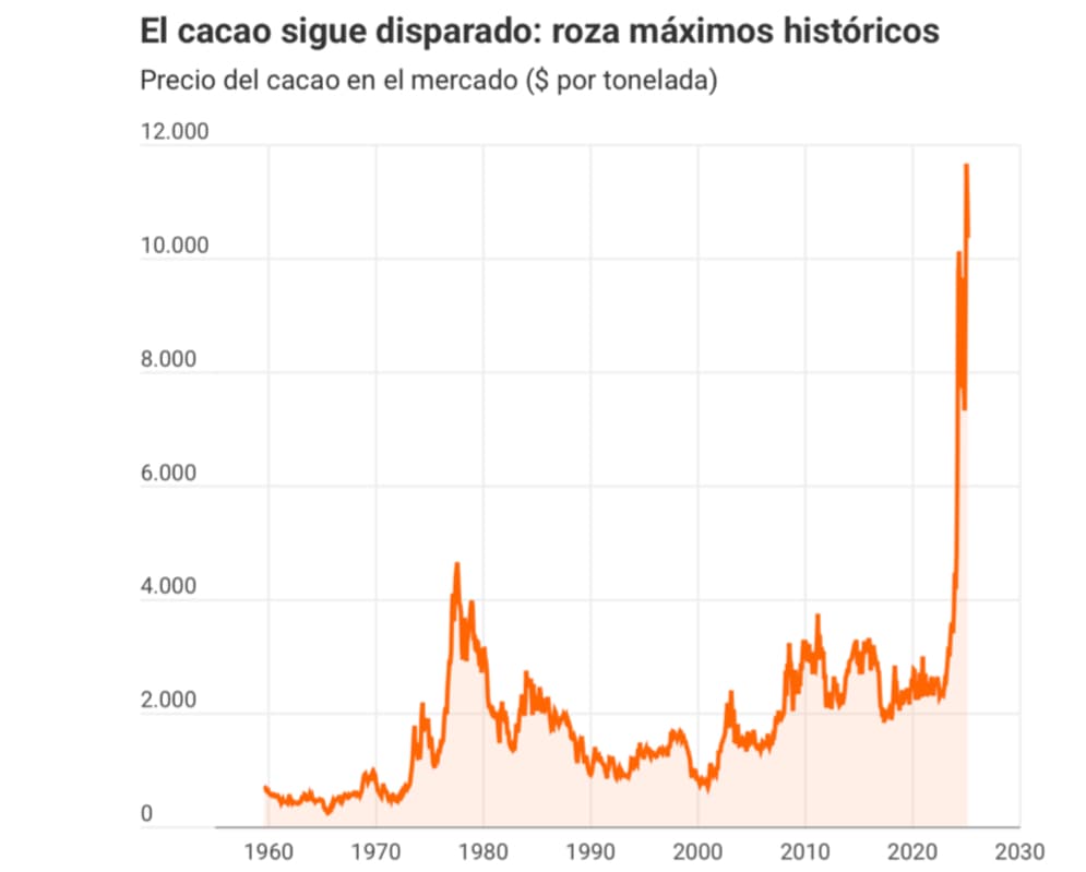 ¿Por qué el precio del cacao subió tanto en 2024–2025?