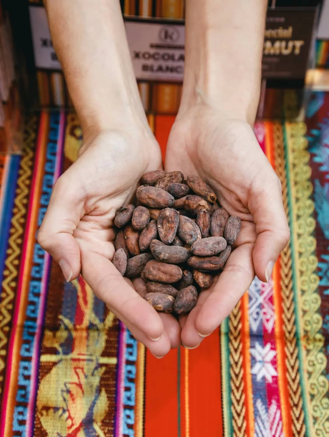 ¿Qué diferencia hay entre cacao y chocolate?