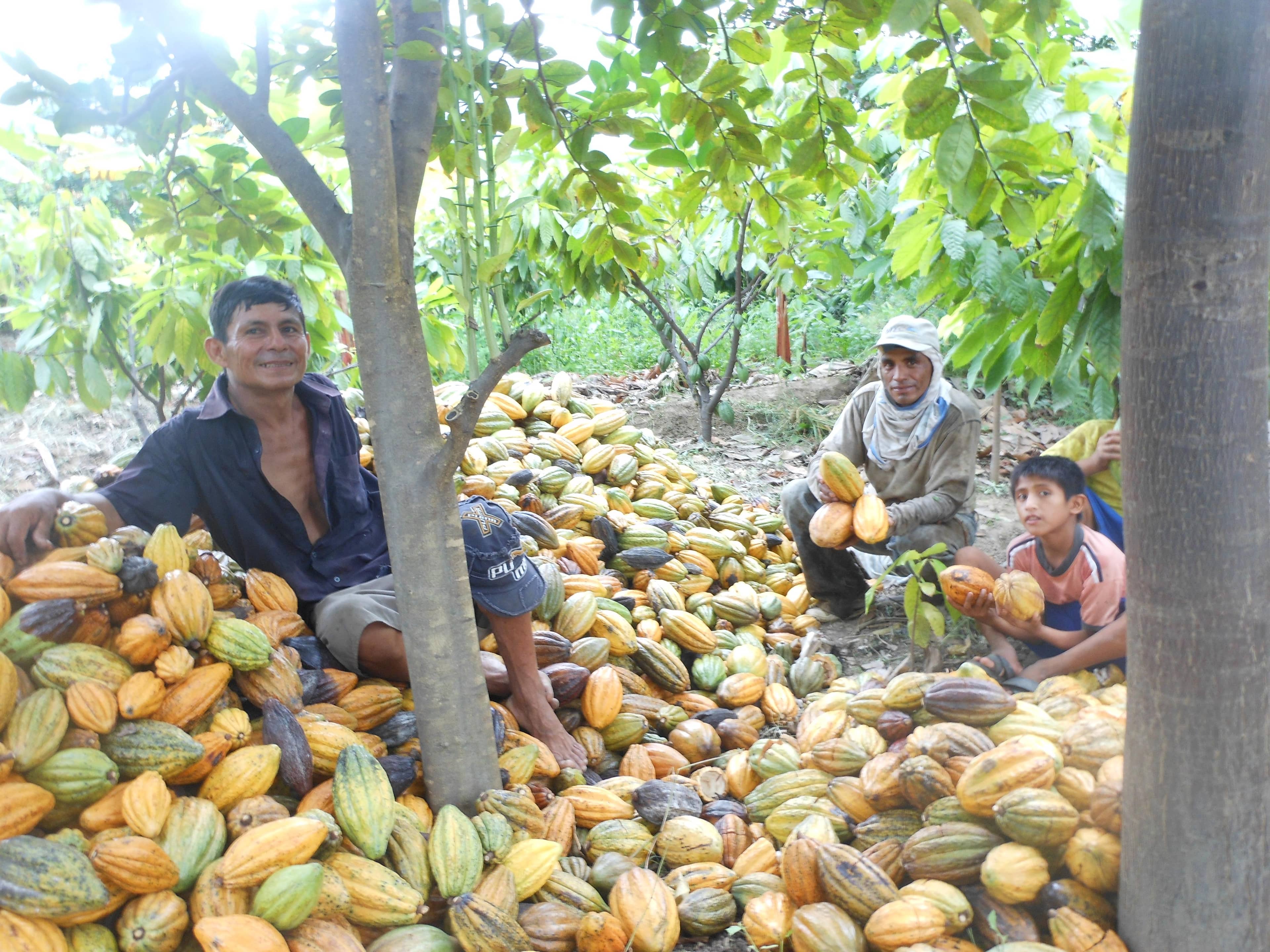 Piura Blanco · 1
